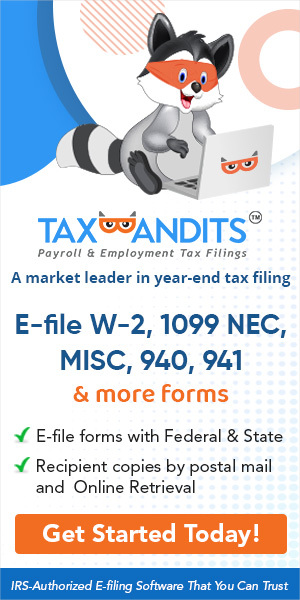 E-File W2, 1099 MISC, NEC by TaxBandits